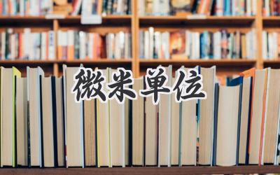 微米单位