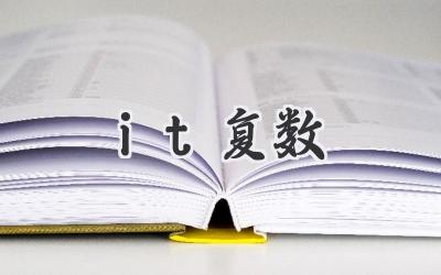 it复数