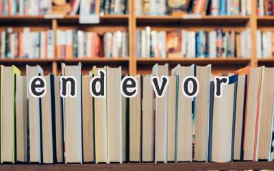 endevor