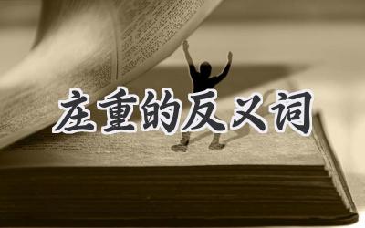 庄重的反义词