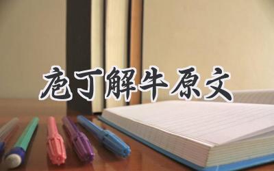 庖丁解牛原文