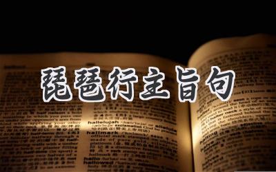琵琶行主旨句