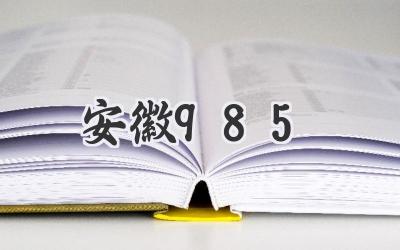 安徽985