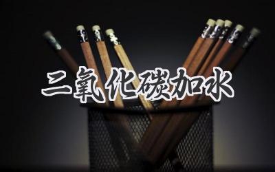 二氧化碳加水
