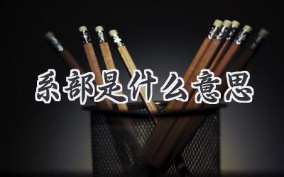 系部是什么意思