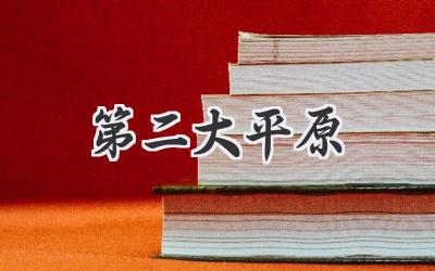 第二大平原