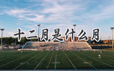 十二月是什么月
