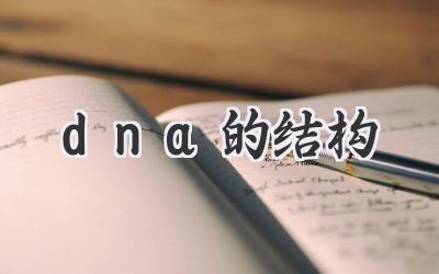 dna的结构