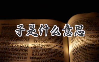 子是什么意思