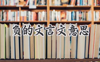 负的文言文意思