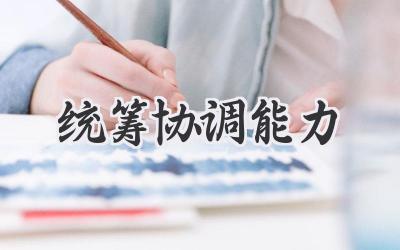 统筹协调能力
