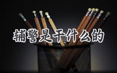 辅警是干什么的