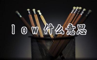 low什么意思