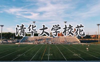 清华大学校花