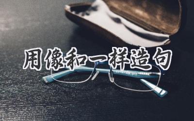 用像和一样造句