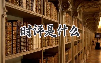 时评是什么