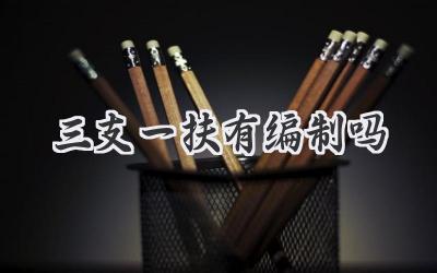三支一扶有编制吗