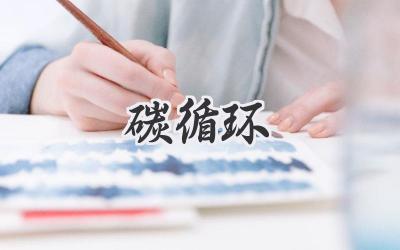 碳循环
