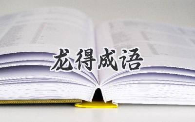 龙得成语