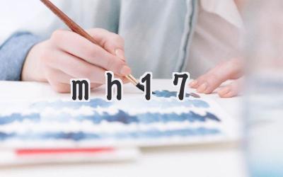 mh17