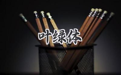 叶绿体