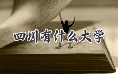 四川有什么大学