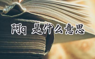 阿q是什么意思