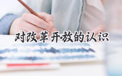 对改革开放的认识