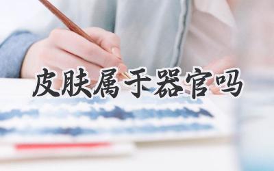 皮肤属于器官吗