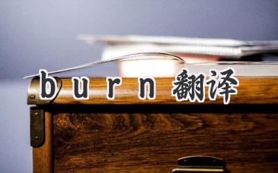 burn翻译