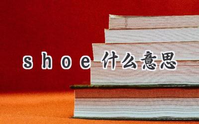 shoe什么意思