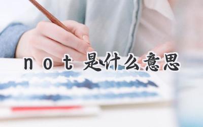 not是什么意思