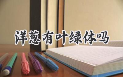 洋葱有叶绿体吗