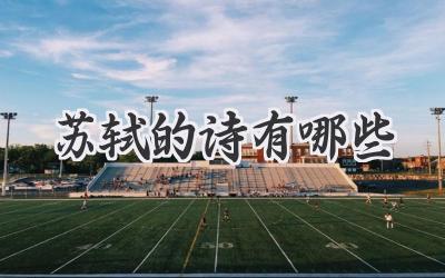 苏轼的诗有哪些