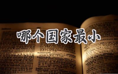 哪个国家最小
