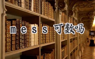 mess可数吗