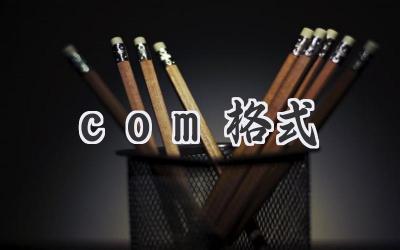 com格式