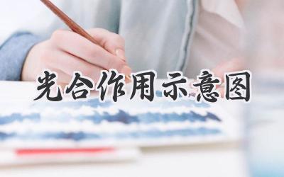 光合作用示意图