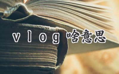 vlog啥意思