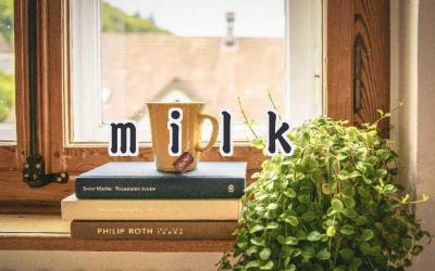 milk