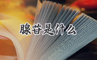 腺苷是什么