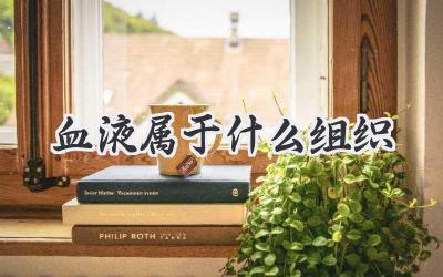 血液属于什么组织