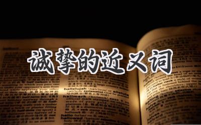 诚挚的近义词