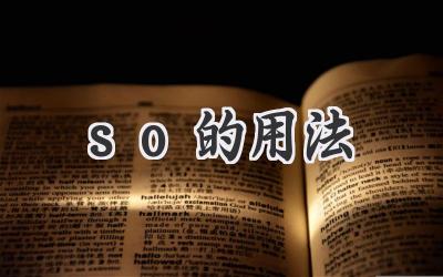 so的用法