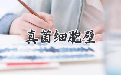 真菌细胞壁