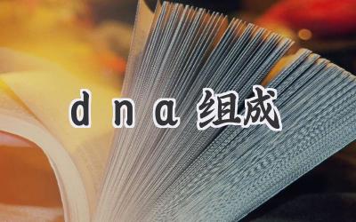 dna组成