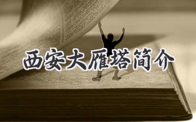 西安大雁塔简介