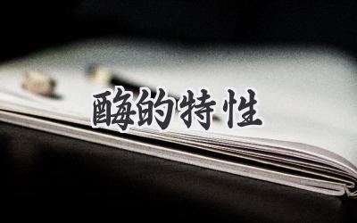 酶的特性