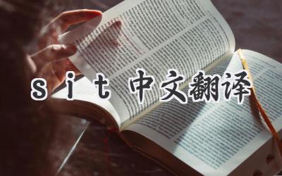 sit中文翻译