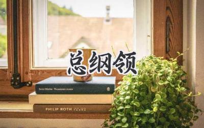 总纲领